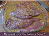 Mariner de la viande, pensez y