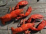 Calendrier de l’avent – Homard au four (j-20)
