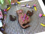 Gâteau chat au chocolat