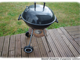 Barbecue electrique perfect country 2000 easy move