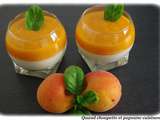 Panna cotta chocolat blanc et coulis d'abricots