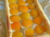Tarte longue aux abricots