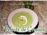 Velouté de Cresson à la Vache qui Rit