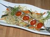 Aiguillette sur lit de légumes sautés