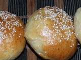 Pains buns ou pains à hamburgers