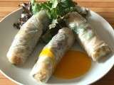 Rouleaux de printemps au poulet