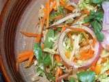 Salade asiatique à la papaye