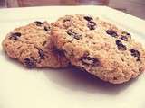 Biscuits au gruau et raisins secs