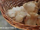 Endives et champignons en gratin et leur crumble