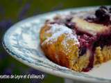 Galette aux myrtilles facon cheesecake d’helene
