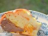 Gateau ou flan allege au fromage blanc et aux z’abricots