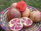 Gelee de grenades a l’eau de rose & aux grains de sesames torrefies