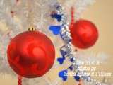 Idees de menus pour noel 2011 facile ou elabore pour cuisinier fauche-nul-confirme ou passionne