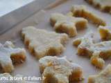Leckerlis de berne ou de bale a la noix de coco (biscuits de noël suisse)
