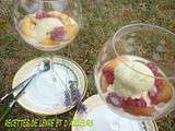 Peches melba & glace a la vanille onctueuse