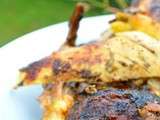 Poulet roti a la broche au barbecue, a l’orientale