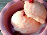 Sorbet au pamplemousse au fromage blanc 0% et au miel d’oranger sans sorbetiere, puis que faire avec 500 g de restes de biscuits ? reponse : de succulentes mignardises