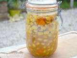 Sterilisation haricots coco blancs, conservation haricots tarbais nature ou en ragout