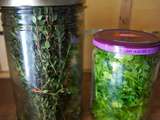 Méthode de conservation des herbes aromatiques