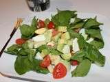 Salade aux pousses d'épinard