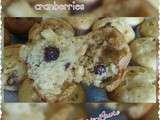 Muffins au chocolat blanc cranberries