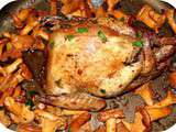 Pigeon aux Girolles