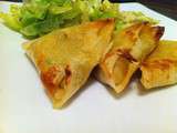 Samoussas poulet, poireaux et curry