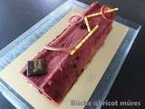 Bûche a l'abricot et mûres