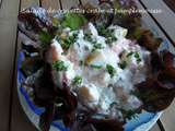 Salade crevettes crabe et pamplemousse