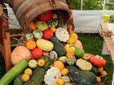 Festival des 1001 légumes