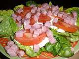 Salade dés de jambon/mozza