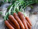 Soupe aux carottes