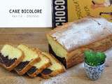 Cake Bicolore : Vanille & Chocolat