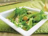 Salade de chicorée