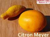 Citron Meyer, redécouverte si parfumée