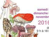 Idée Sortie : Salon du Champignon - 5/6Novembre 2016 - Aix en Provence
