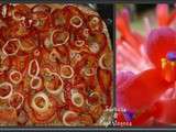 Tarte Poivrons, Tomates, Oignons sur Pâte aux Sésames