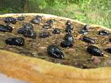 Tarte aux aubergines