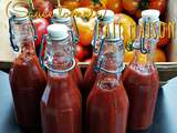 Sauce Ketchup (recette Thermomix)