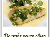Daurade sauce chien (recette piquée a Carole)