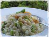 Risotto aux Fèves & Haddock