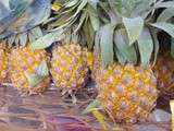 Fruits : Les ananas du vieux bourdon