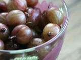 Confiture groseilles à maquereau & rhubarbe