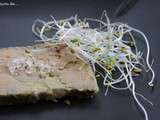 Foie gras maison - terrine