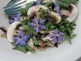 Salade de champignons crus, fleurs de bourrache & roquette