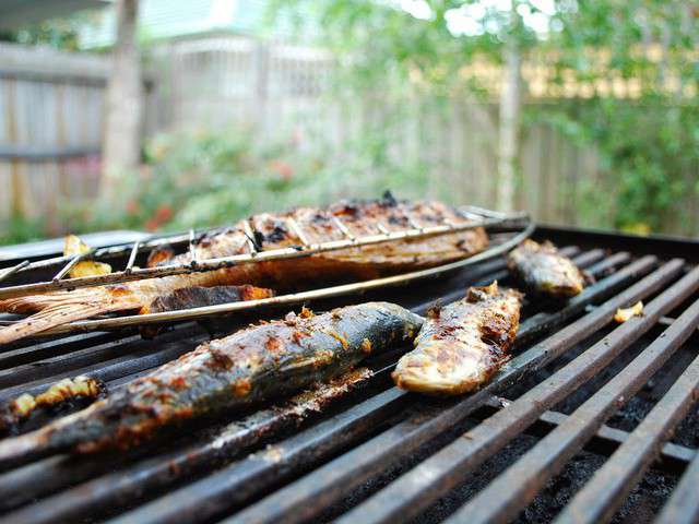 Recettes De Sardines Au Barbecue 