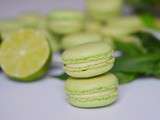 Macarons citron vert basilic