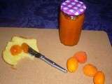Confiture d'abricot aux kumquats