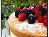 Naked Cake aux Fruits Rouges , le Gâteau de la Rentrée ... & encore un peu d ' été avec une Balade Ligure à Bordighera et Dolceacqua