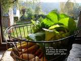 Potée à la saucisse en autocuiseur avec les légumes du potager